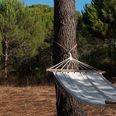 Monte Horizonte - The Private Villas - Eco & Nature (Adults Only) Сантиагу-ду-Касен Экстерьер фото